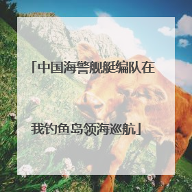 中国海警舰艇编队在我钓鱼岛领海巡航